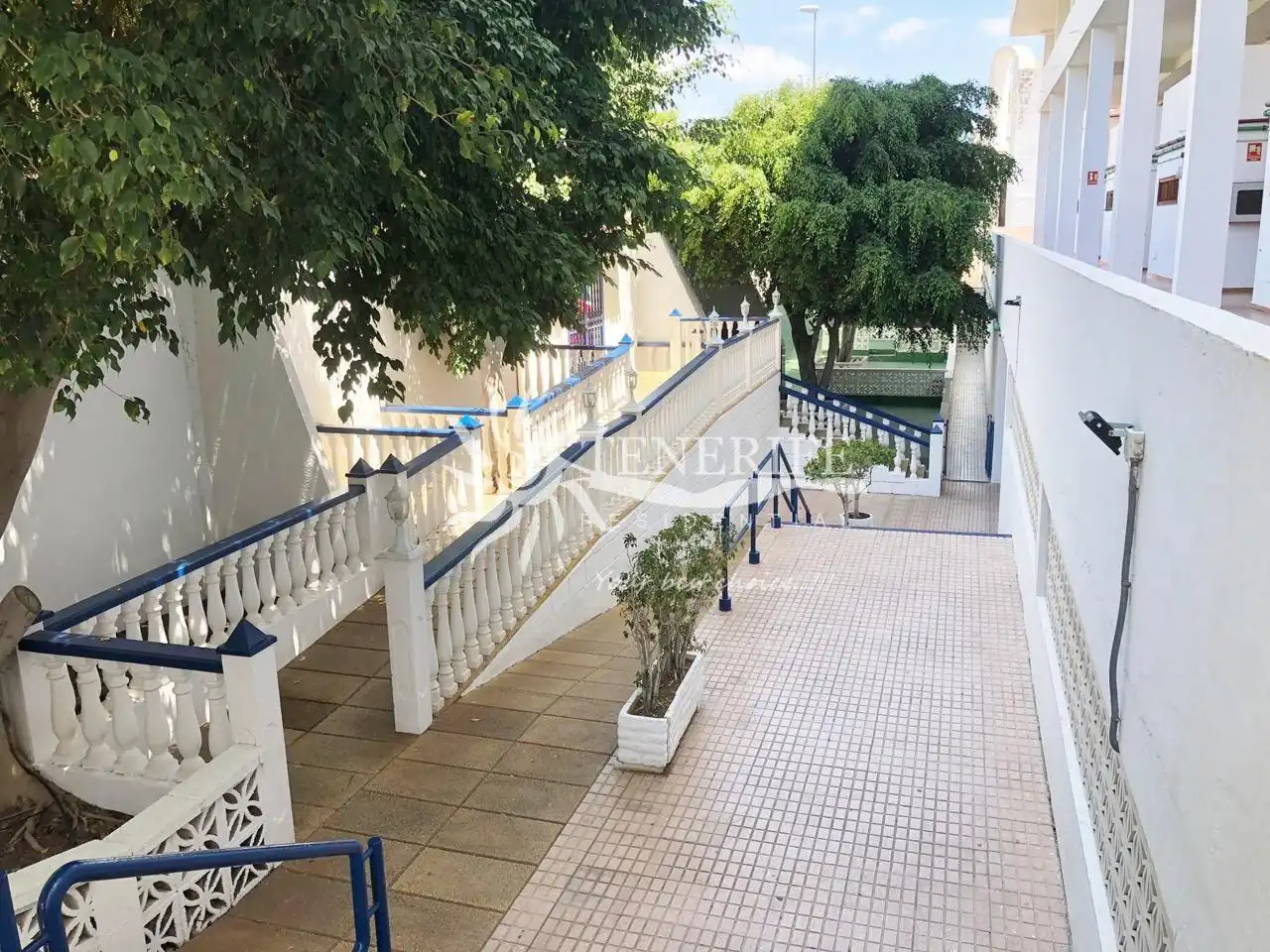 Exterior view of Flat for sale in Adeje  with Terrace and Furnished