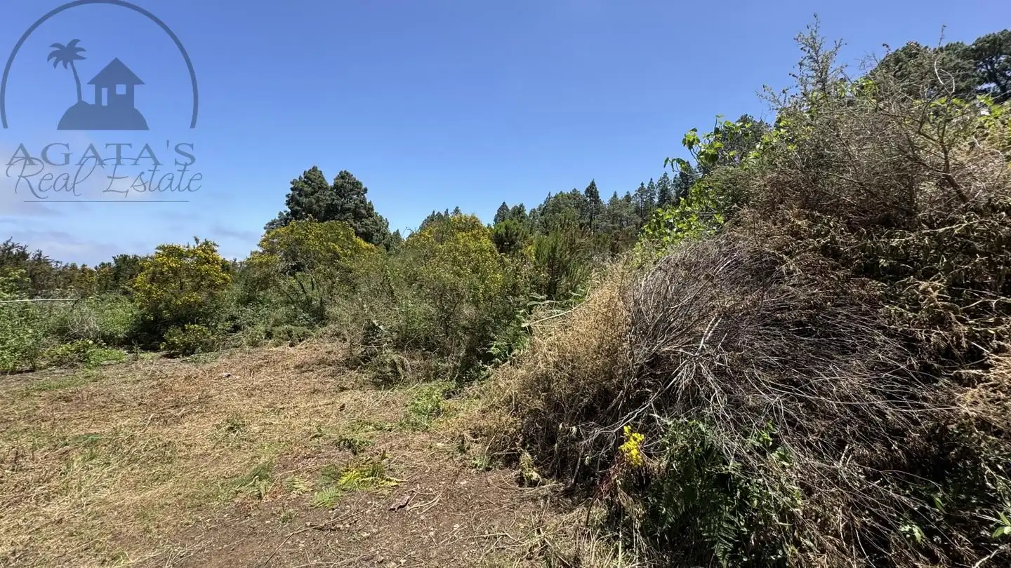 Lands and plots for sale in La Peña 1, imagen 8