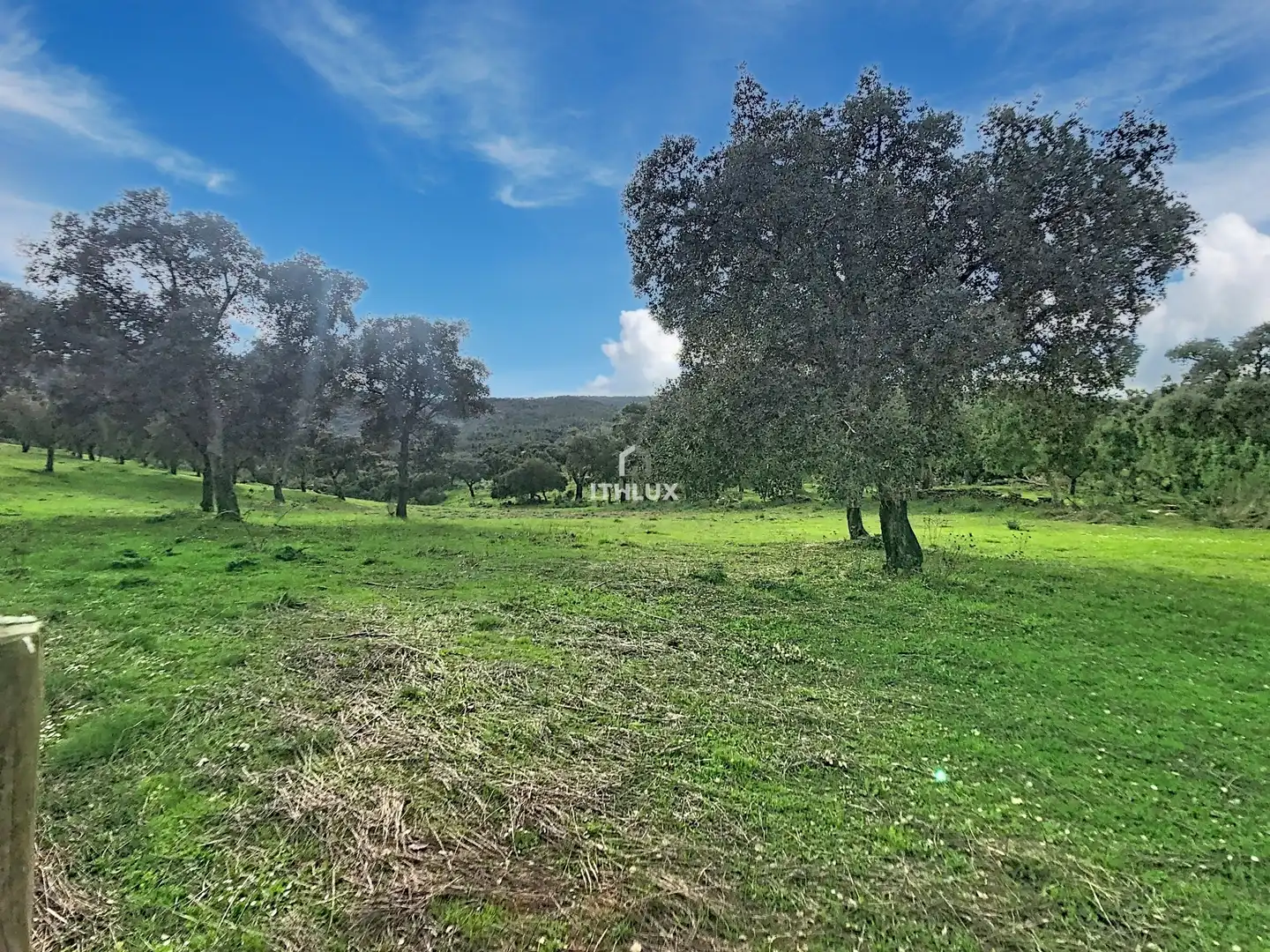 Finca rústica en venda en La Codosera