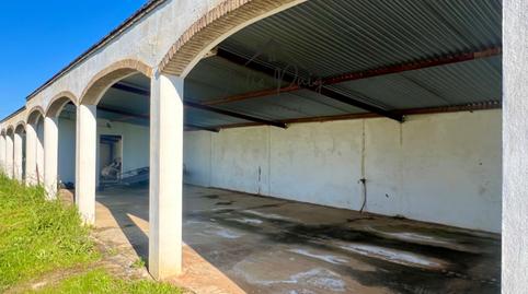 Photo 4 of Land for sale in Almensilla, Sevilla