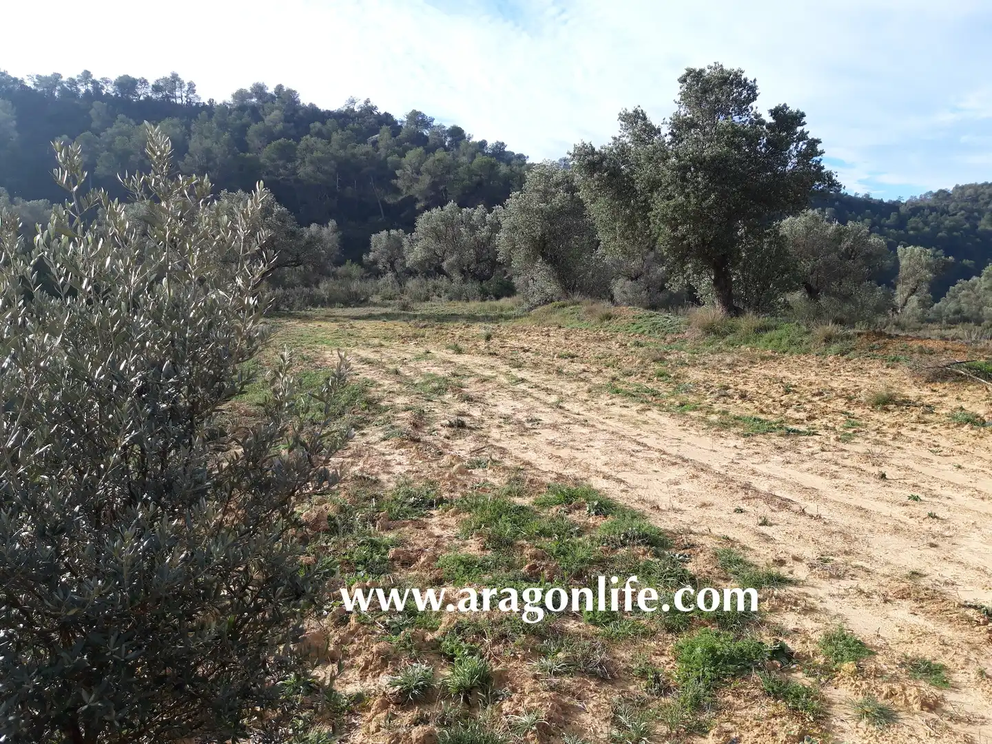 Finca rústica en venta en Batea
