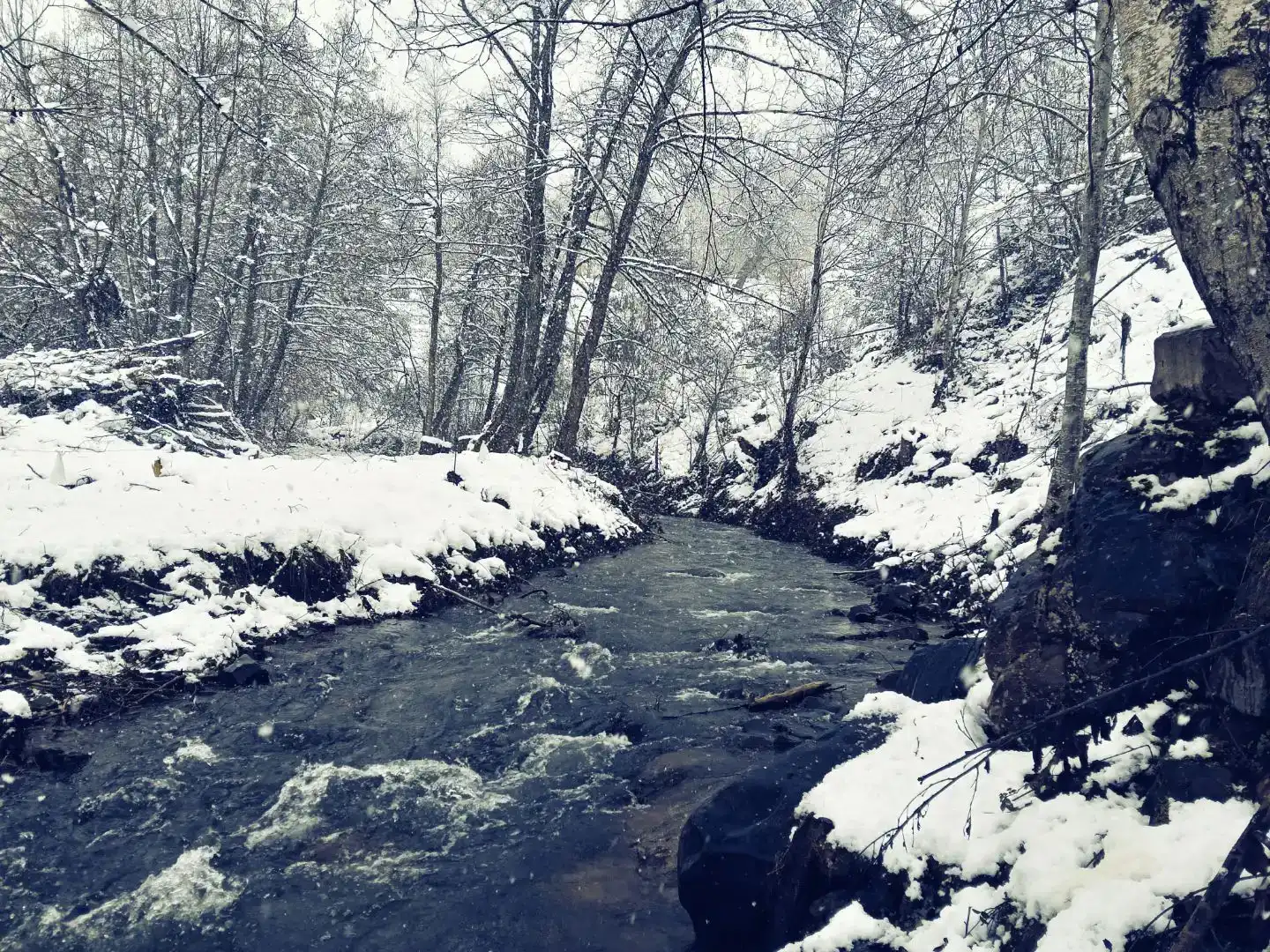 Vista exterior de Pis en venda en Noceda del Bierzo amb Jardí privat