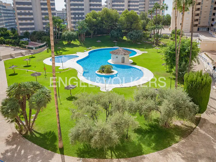 Swimming pool of Flat for sale in Playa Muchavista