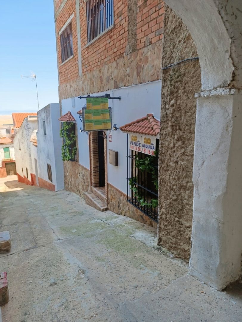 Vista exterior de Casa o xalet en venda en Puebla de Alcocer amb Aire condicionat, Traster i Alarma