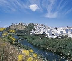 Exterior view of Study for sale in Arcos de la Frontera