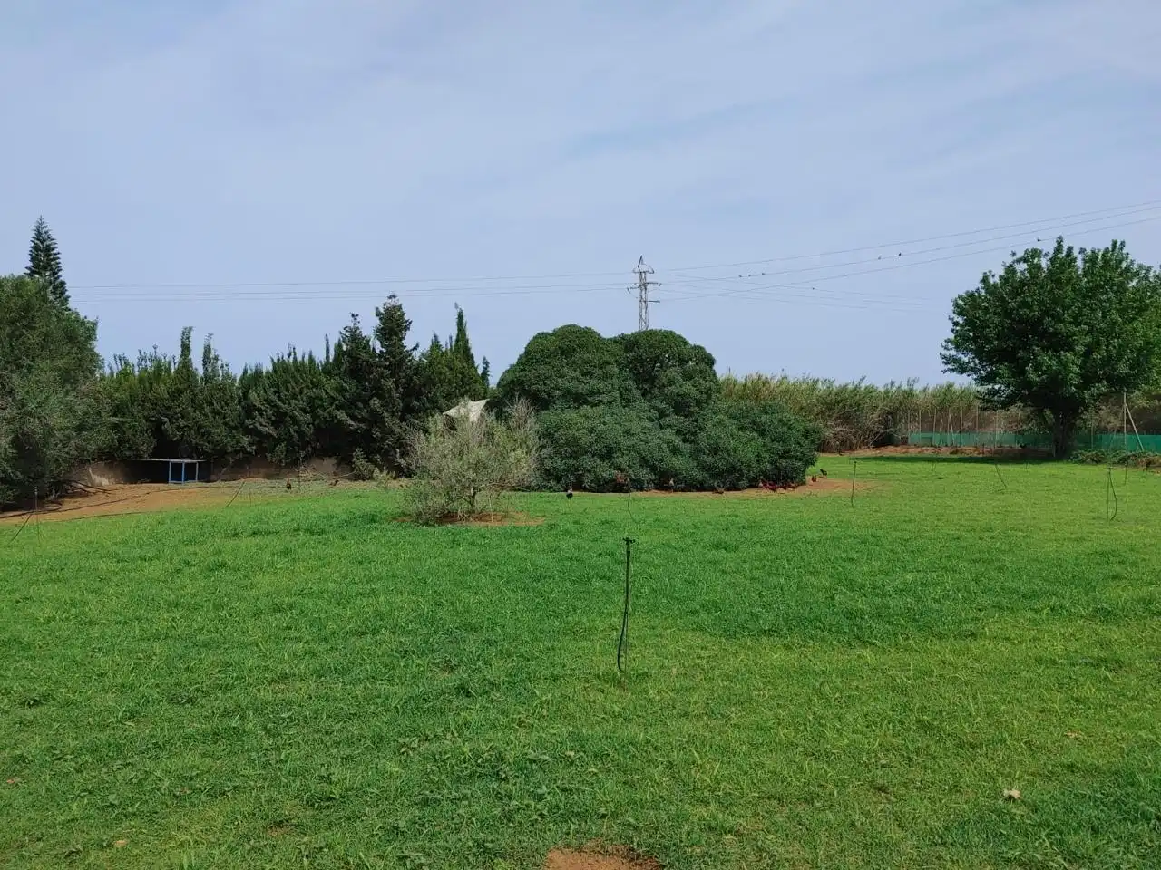 Land for sale in Chipiona