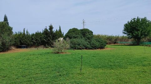 Photo 5 of Land for sale in Granadillos, Ventisqueros, Chipiona Norte, Chipiona