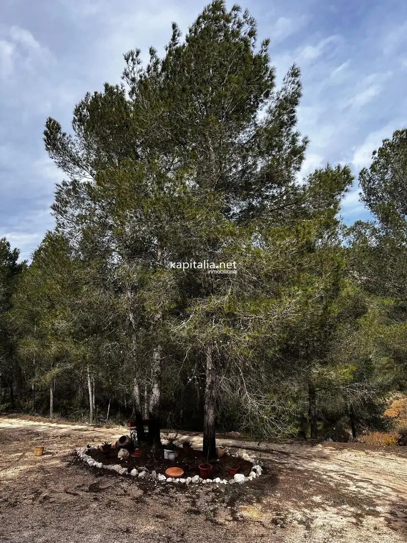 Terreny rústic en venda a L'Olleria, imagen 6