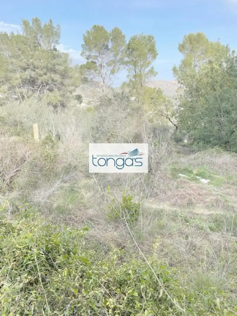 Terreny residencial en venda a Xàtiva, imagen 13