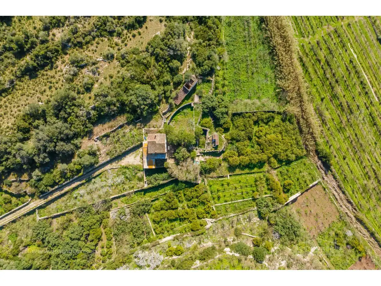 Terreno rustico in vendita a Alaior poble, imagen 23