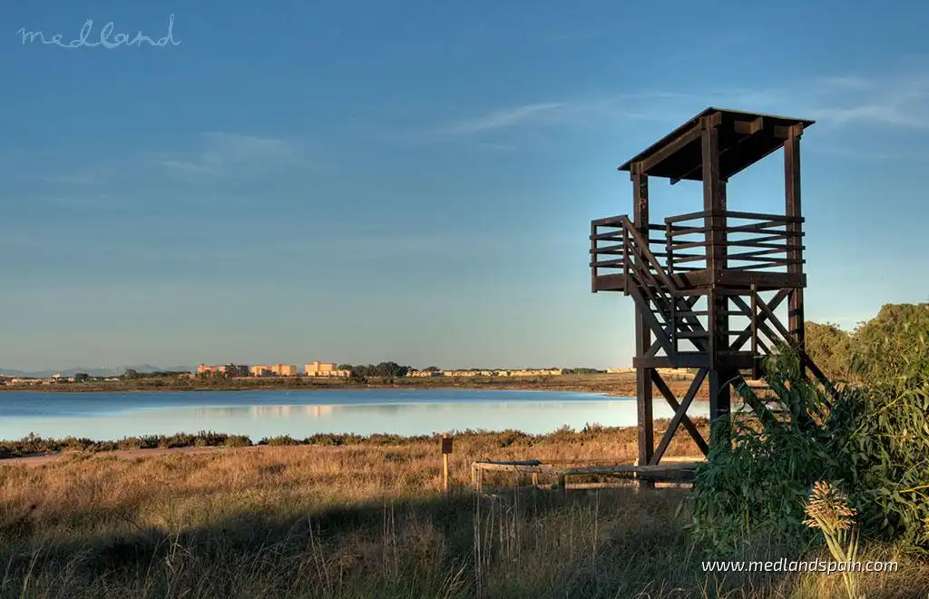Apartment with pool for sale in La Mata, imagen 14