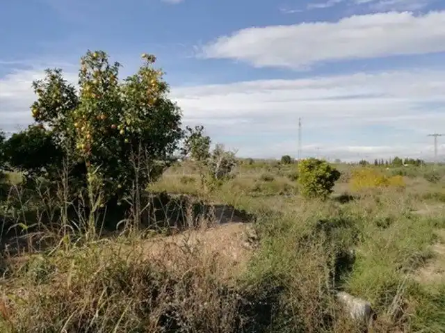 Terreny rústic en venda a Huerto Naranjos, imagen 9