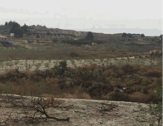 Grundstücke zum verkauf in Alguazas