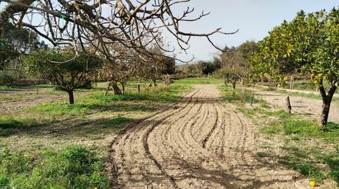 Photo 4 of House or chalet for sale in Felanitx Poble, Illes Balears