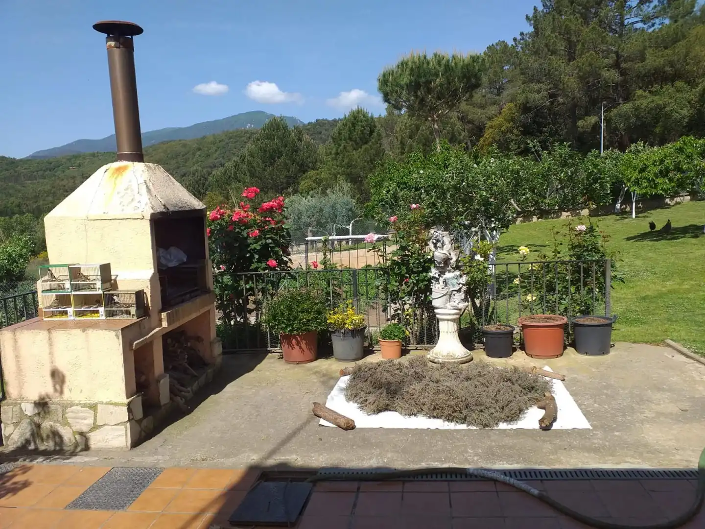 Villa mit Garten zum Verkauf in Sant Feliu de Buixalleu, imagen 3