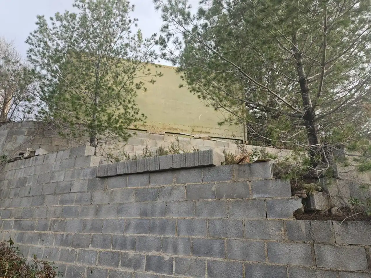 Rural land for sale in Calle Pins, imagen 8