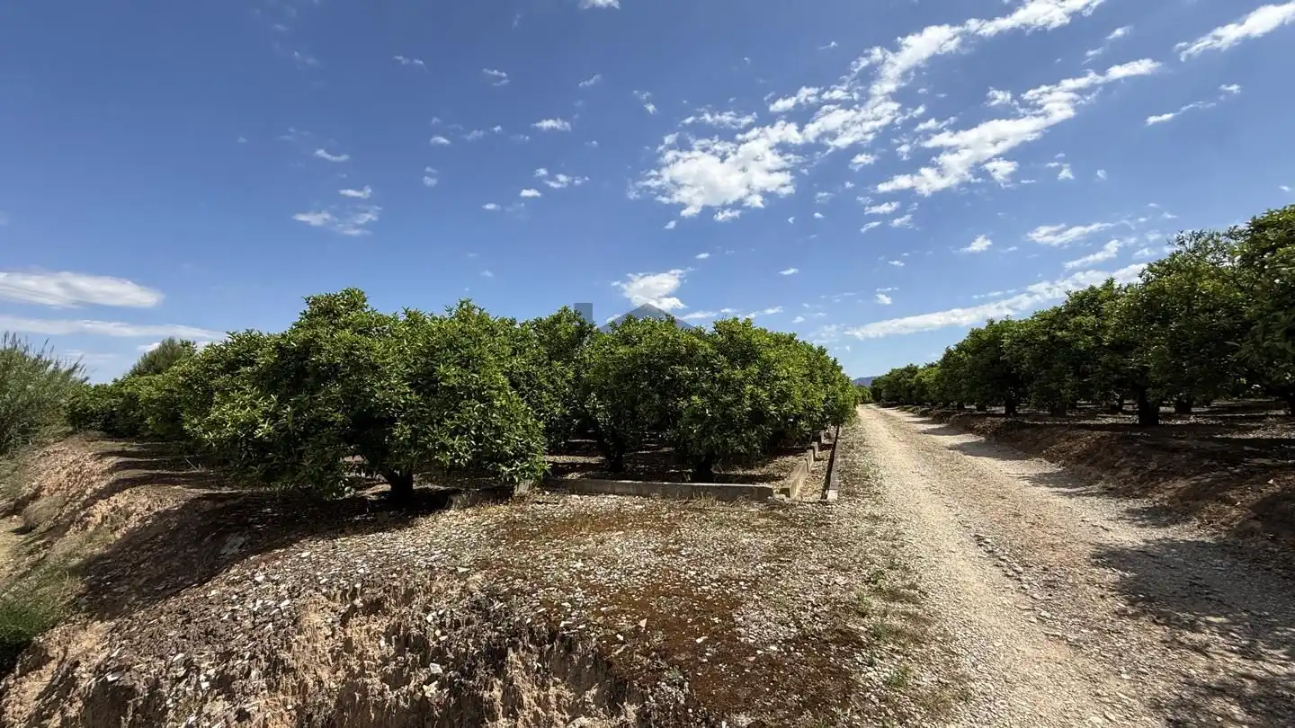 Terrain rustique à vendre à La Pobla Llarga, imagen 8