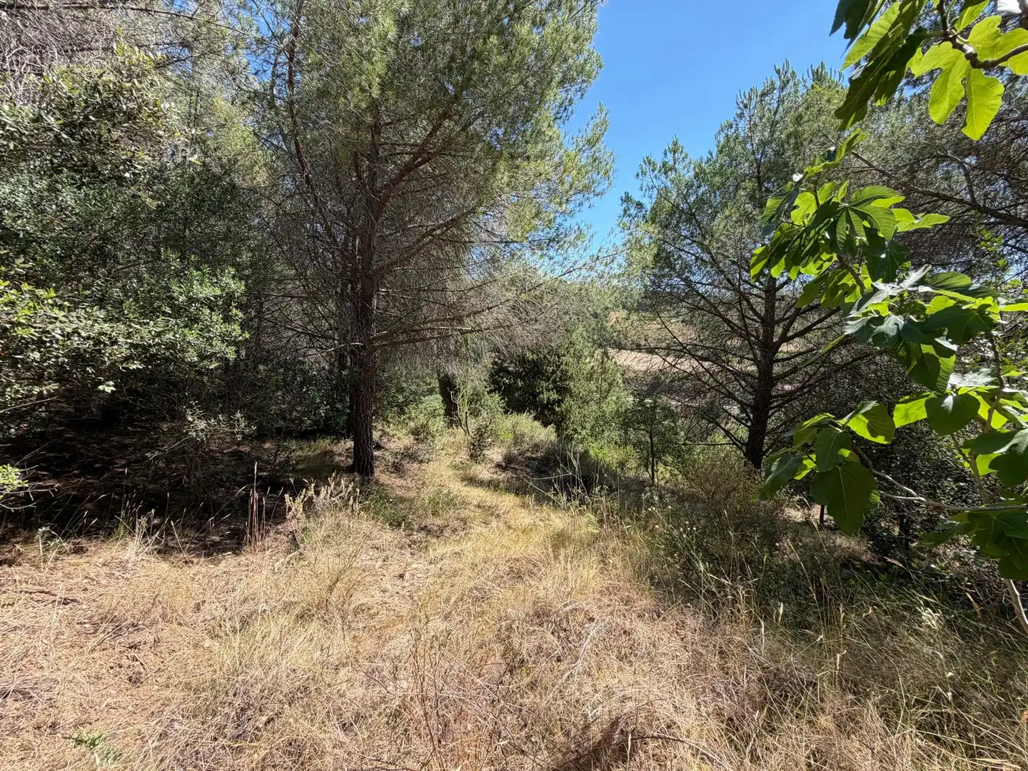 Country house with pool for sale in Cami de La Pedrera, imagen 43
