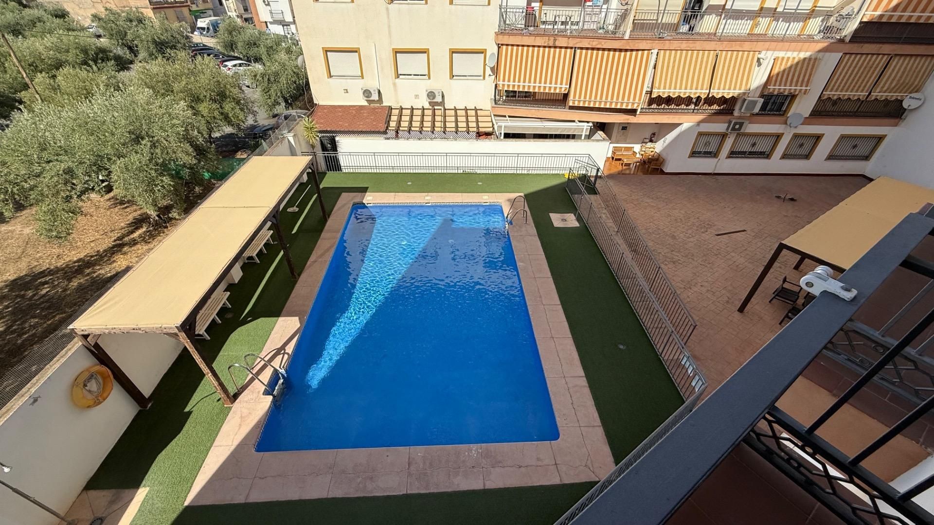 Swimming pool of Flat to rent in Gójar  with Balcony