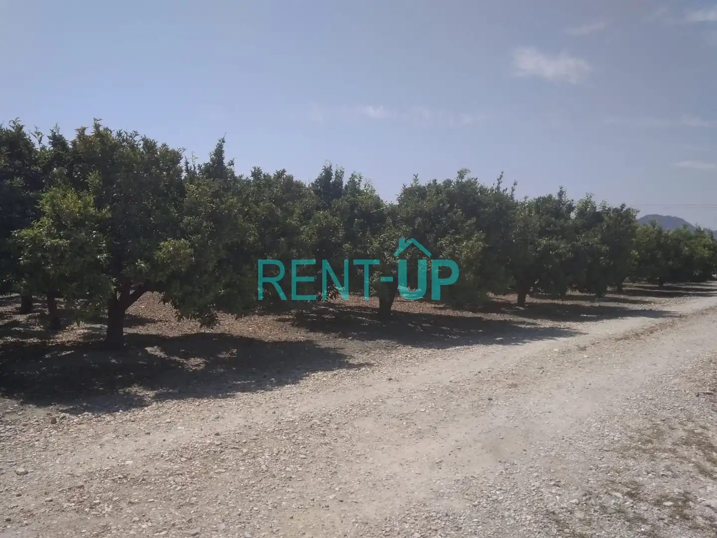 Terreny residencial en venda a Xàtiva, imagen 17