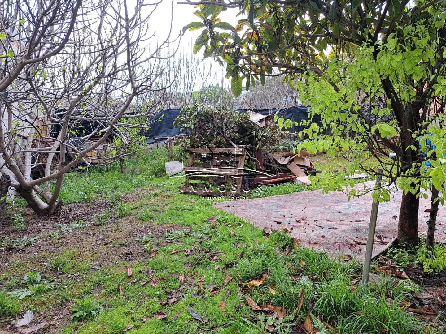 Nau industrial en venda a El Carmen - La Barrera, imagen 5