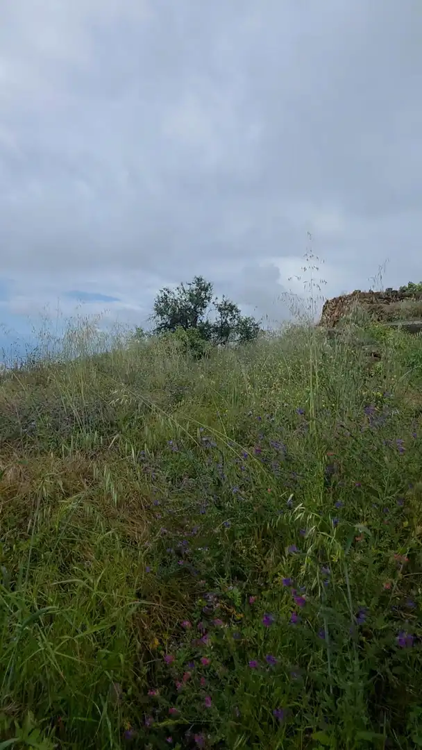 Rural land for sale in Camino Camino Morra del Estanque, imagen 6