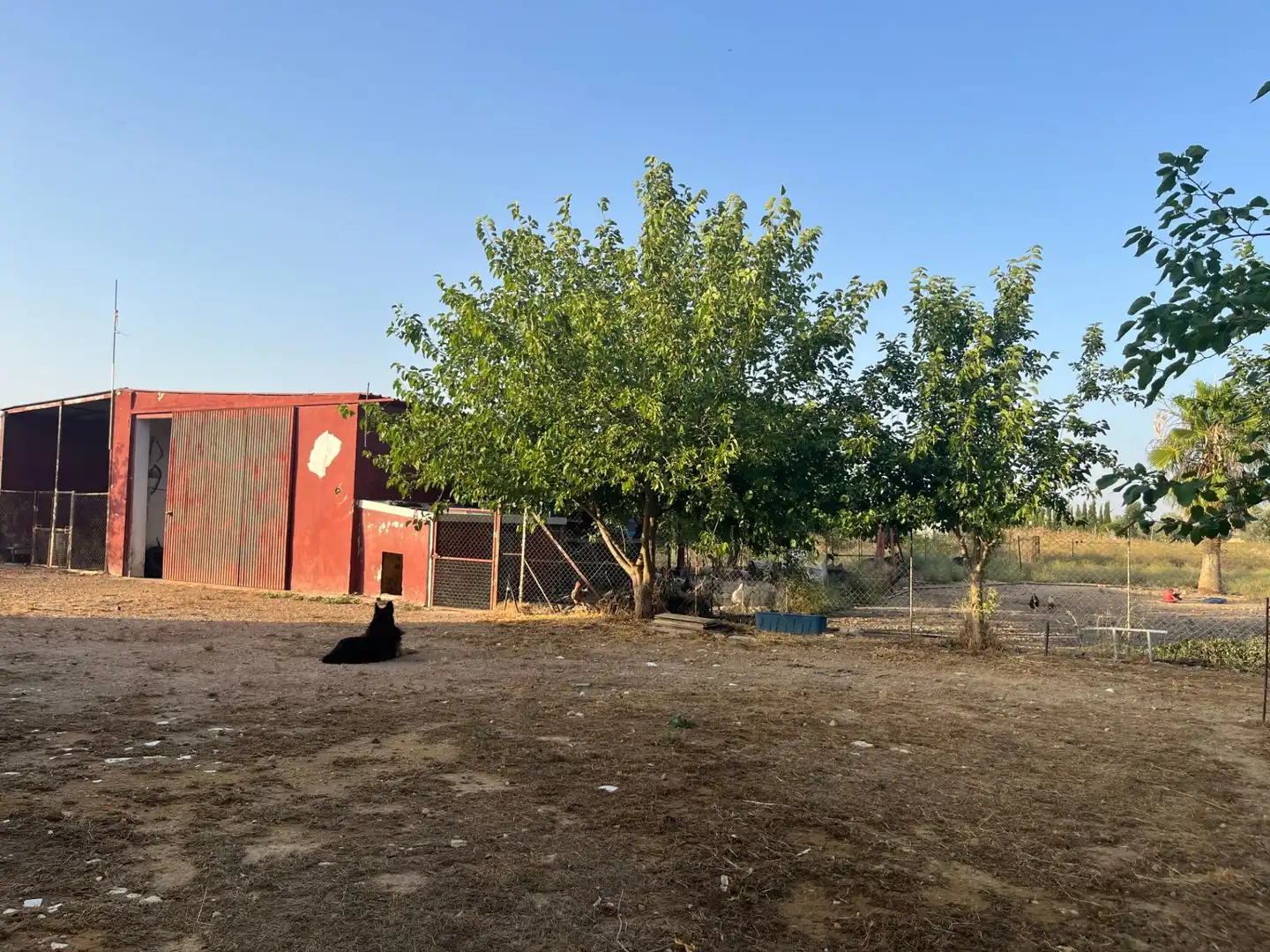 Chalet con piscina en venta en Carmona, imagen 18