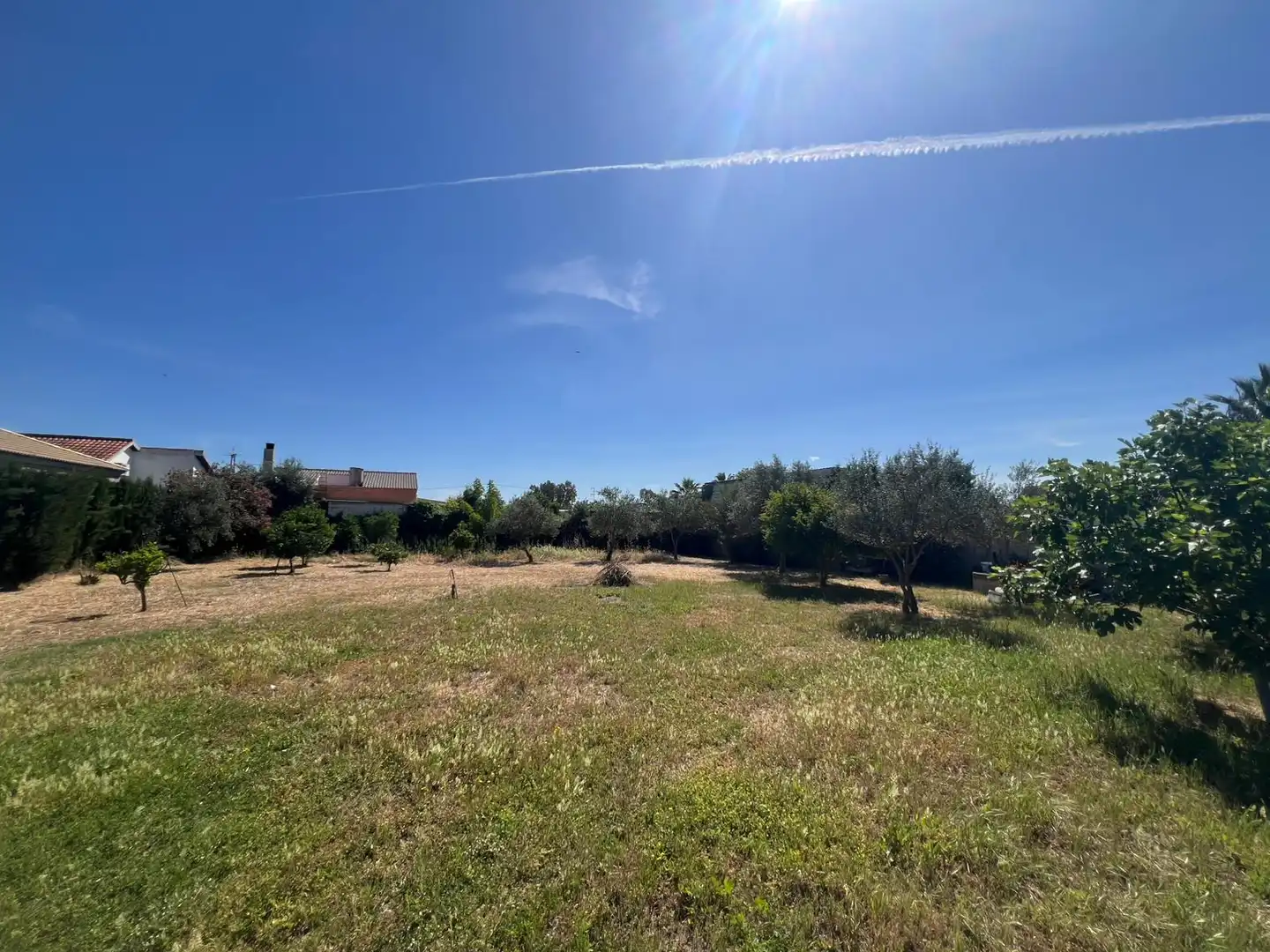 Land for sale in Los Palacios y Villafranca