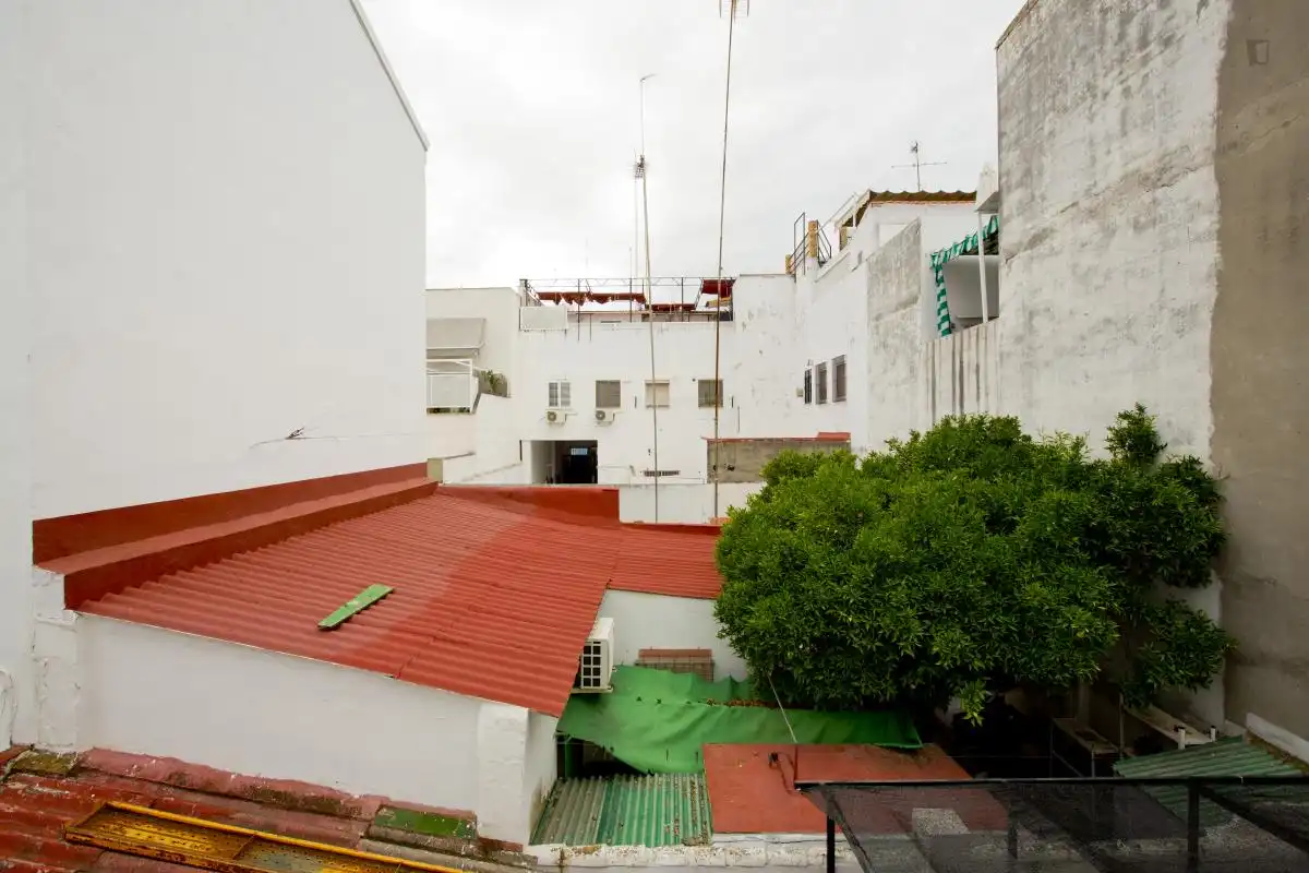 Room in Cruz Roja