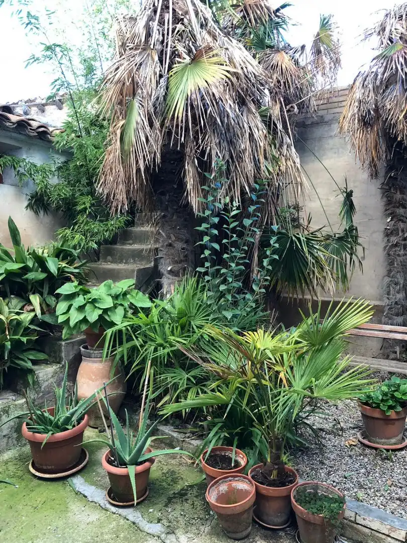 Maison à vendre à Novallas, imagen 16