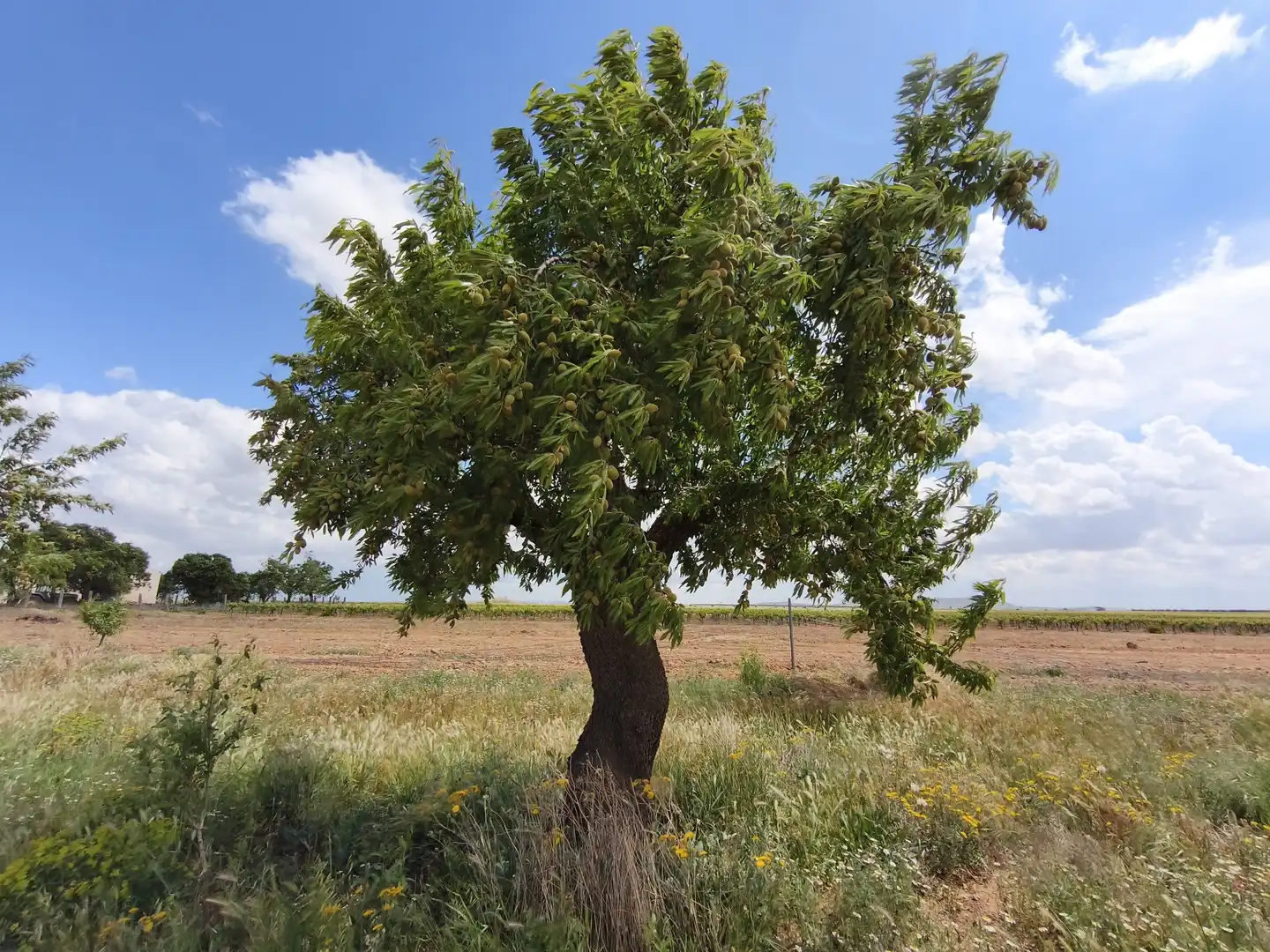 Terreno en venta en Madrid