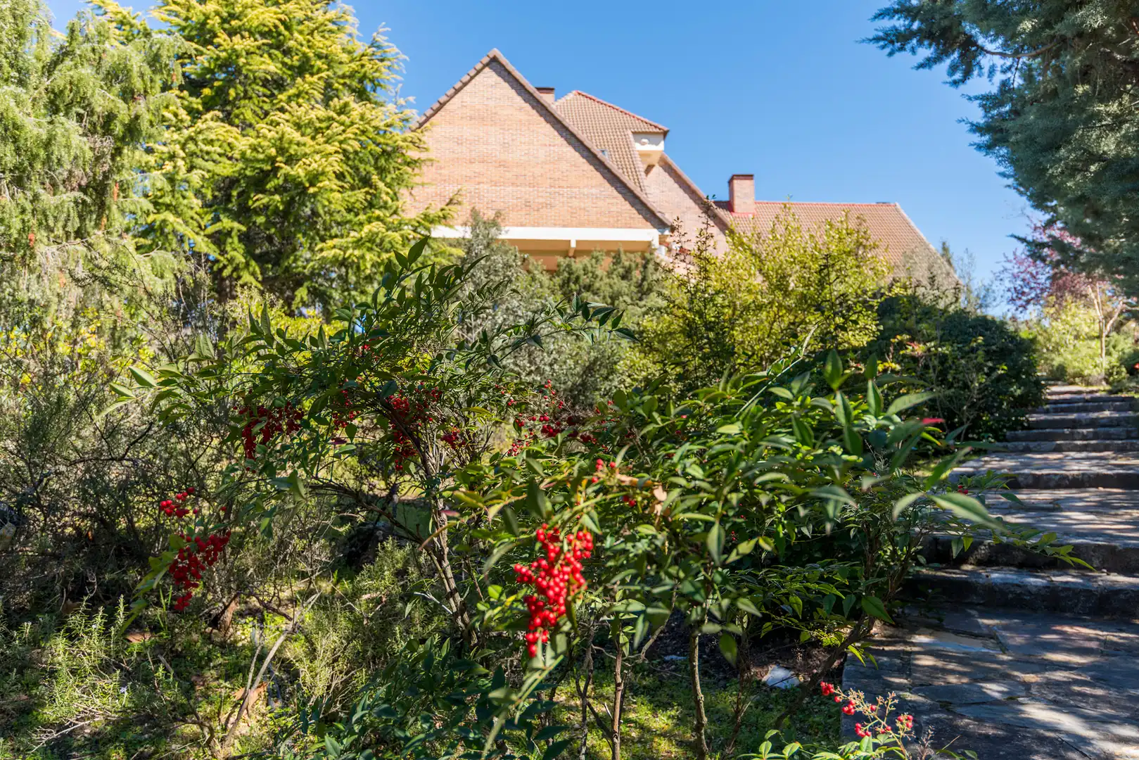 Garden of Houses for sale in Collado Villalba  with Air Conditioner, Heating and Private garden