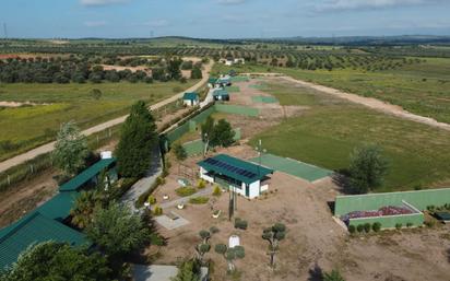 Garden of Land for sale in Azután