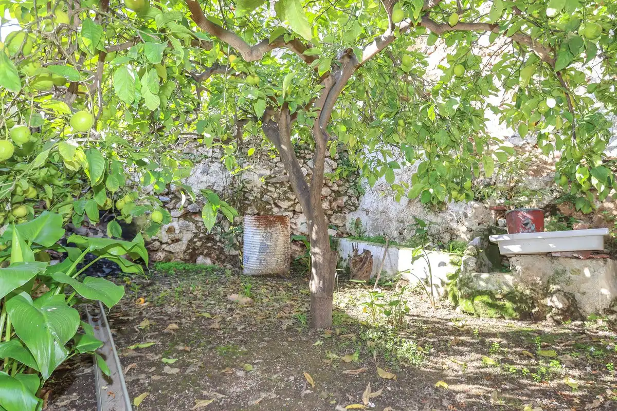 Jardí de Casa o xalet en venda en Yunquera amb Jardí privat i Traster