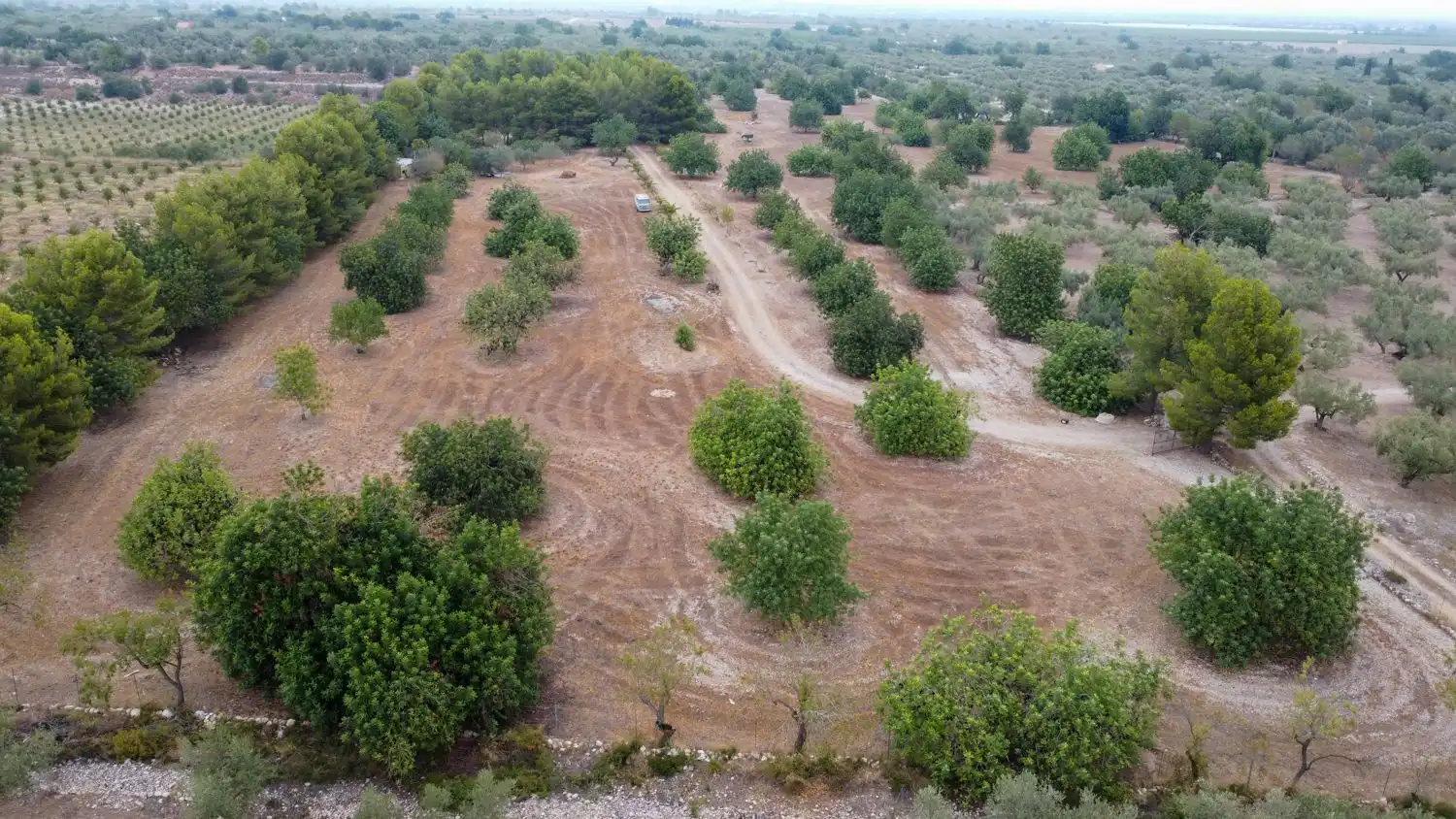 Terrain rustique à vendre à Roquetes, imagen 20