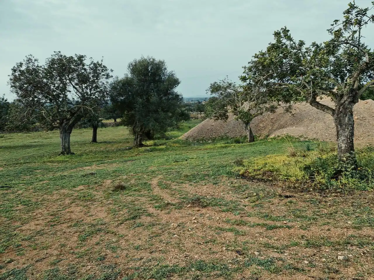 Landhaus mit Pool zum Verkauf in Poligono 4 608, imagen 14
