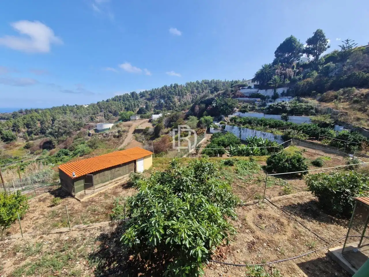 Finca rústica en venta en Icod de los Vinos con Jardín privado y Terraza