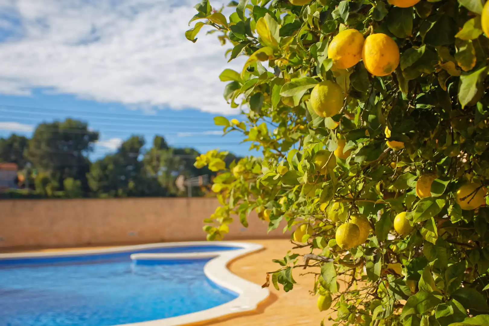 Swimming pool of Houses for sale in Piera  with Air Conditioner, Heating and Private garden