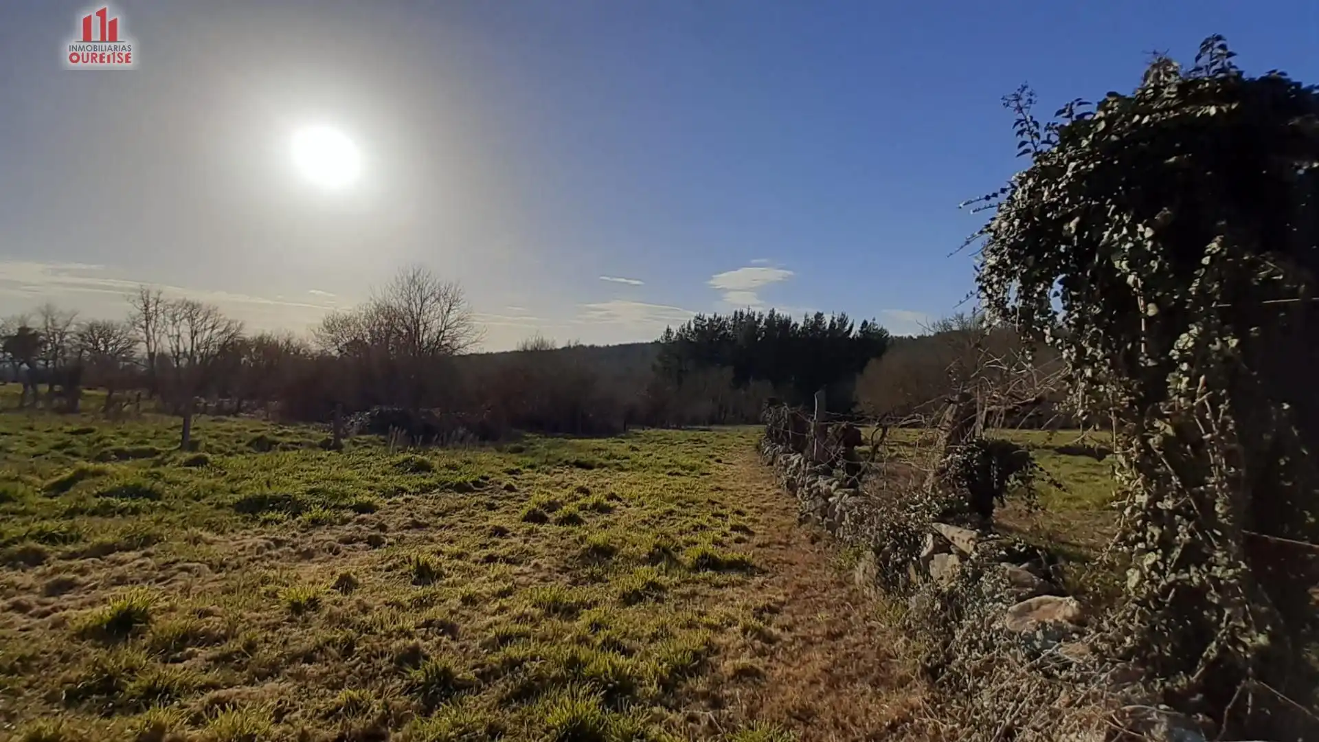 Terreni e lotti in vendita a O Pereiro de Aguiar, imagen 6