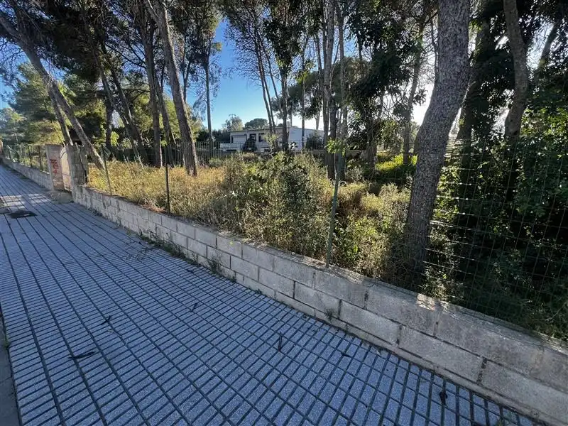 Lands and plots for sale in MIRADOR, imagen 3