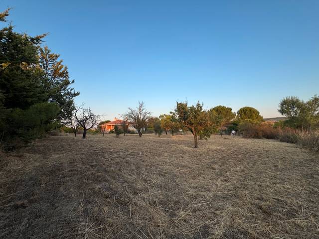 Terreno residencial en Venta en Calle Castaño, 144 en Castronuevo de Esgueva