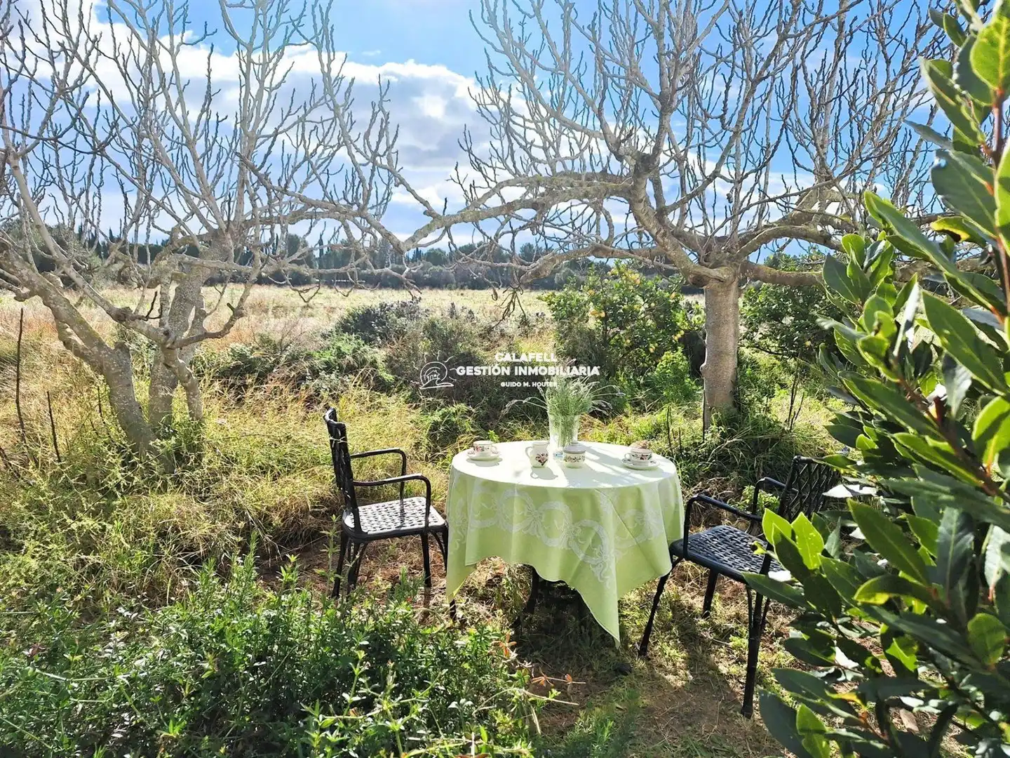 Villa à vendre à Polígono 5 96, imagen 2