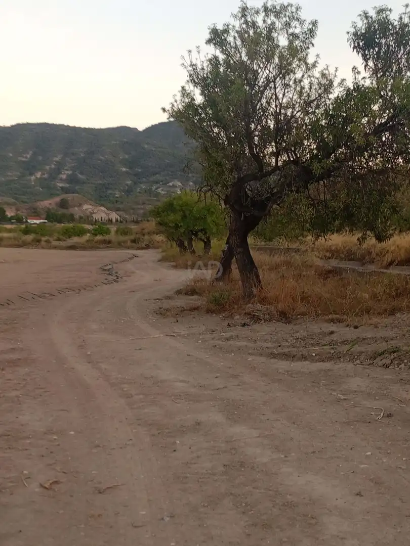 Country homes for sale in Lorca