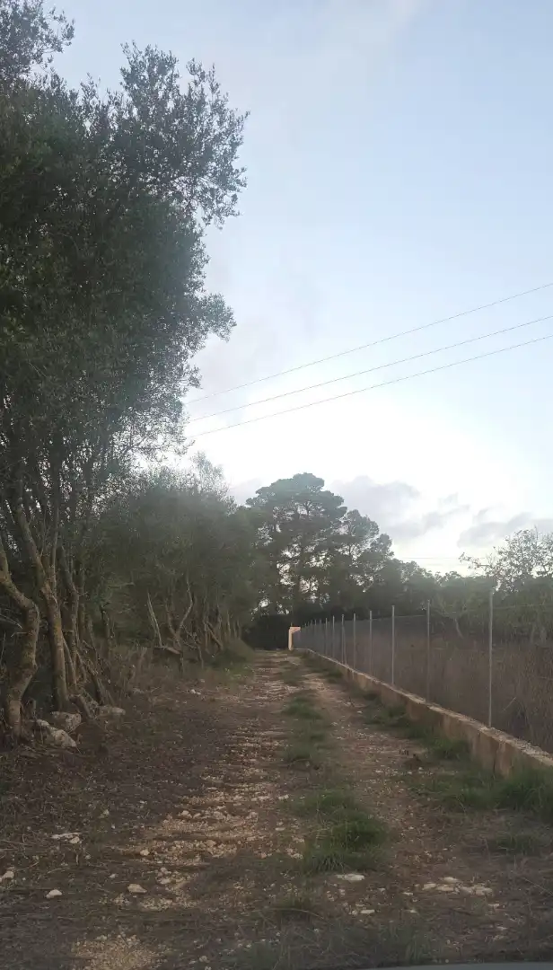Rustikales Grundstück zum Verkauf in Camí de Son Dalmau 2, imagen 15