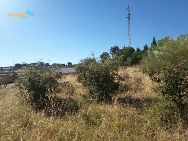 Terreni e lotti in vendita a Camino Viejo de Talavera. km 5, imagen 4