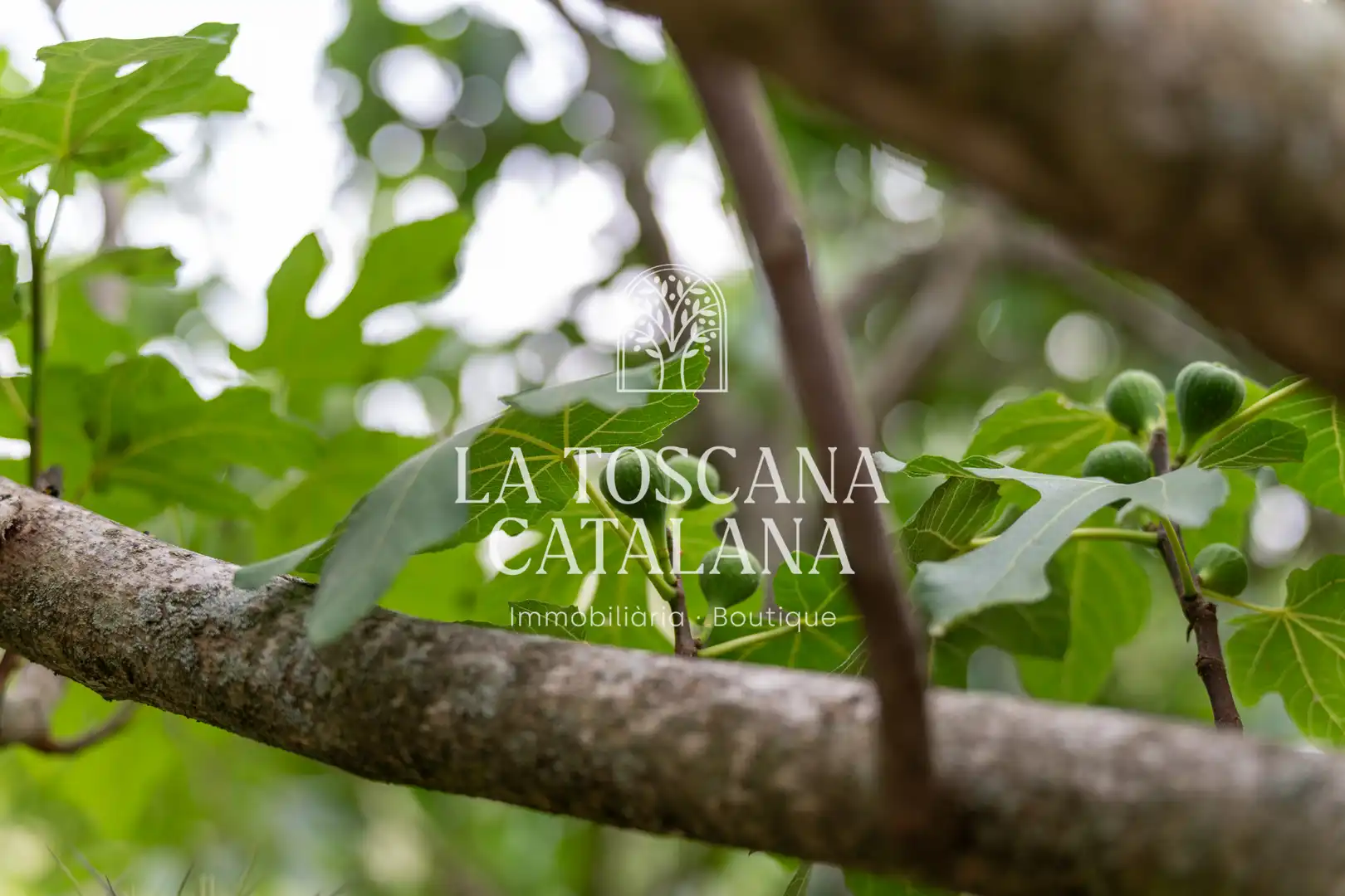 Finca rústica en venta en Sales de Llierca con Aire acondicionado, Calefacción y Jardín privado