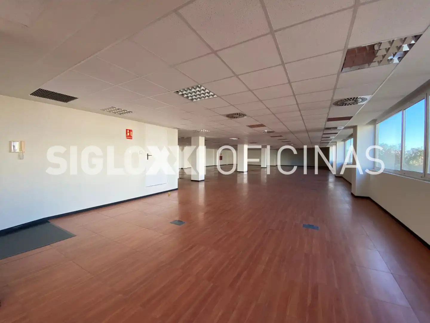 Oficina de lloguer a PLOM, imagen 3
