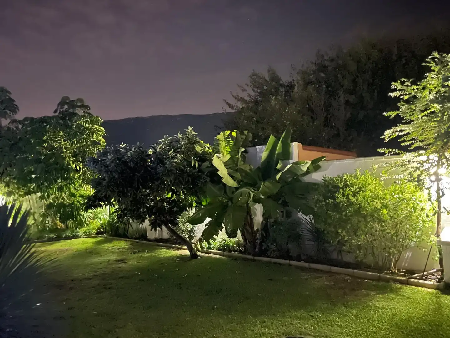 Chalet en venta en El Zabal - Santa Margarita, imagen 3