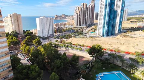 Foto 3 de Pis de lloguer a Playa Poniente, Alicante