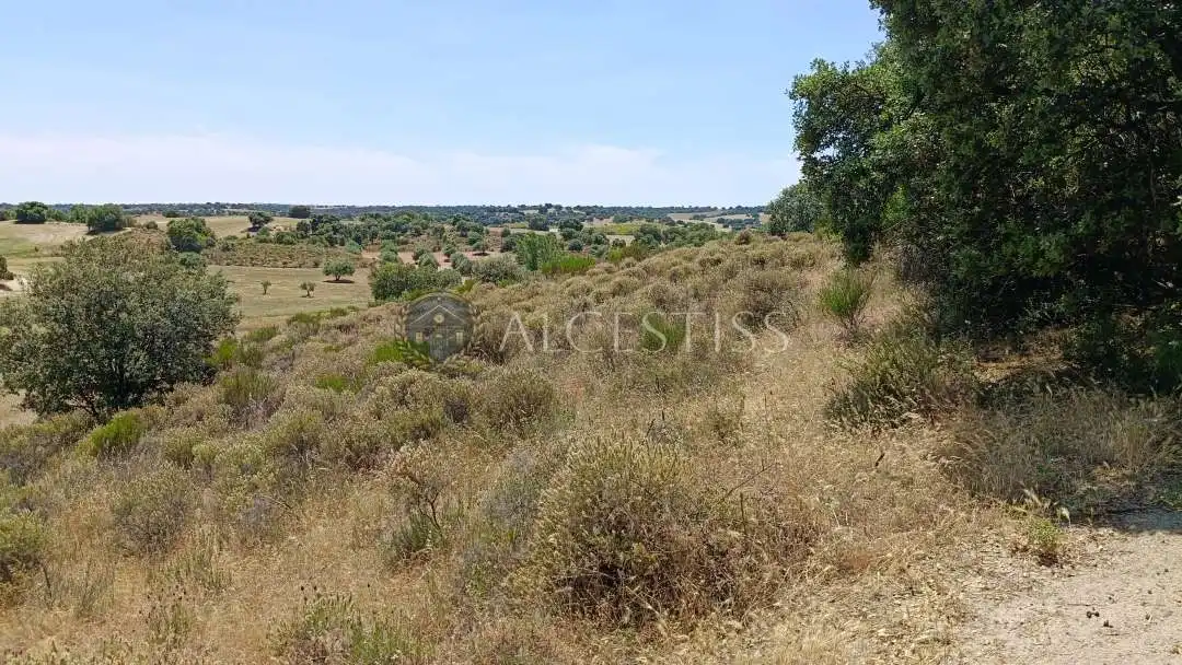 Land for sale in Méntrida